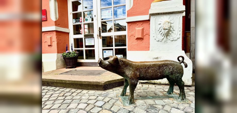 Das Foto zeigt das Bronzeschwein am Marktplatz.